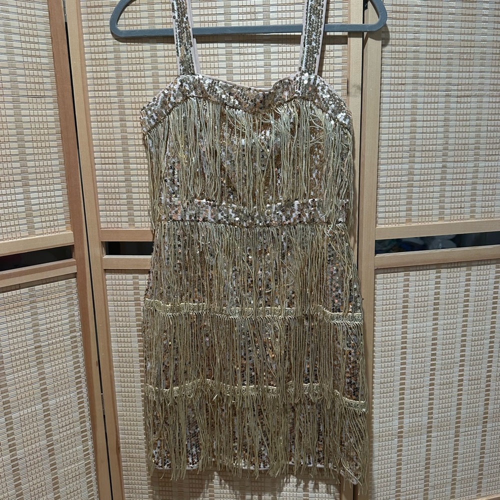 Fearless ERAS TOUR Gold Shimmy Dress Prohibition Flapper